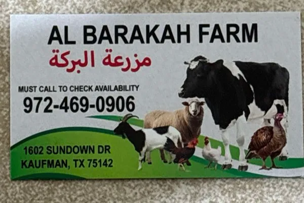 Reliable butcher services